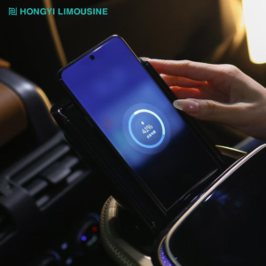 Alternative view of Hongyi suv throne 1.0