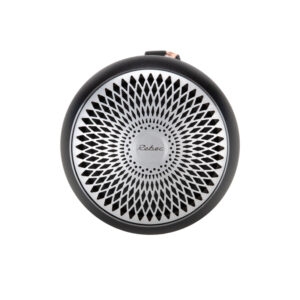 Loa toàn dải Rebec BL80